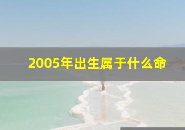 2005年出生属于什么命