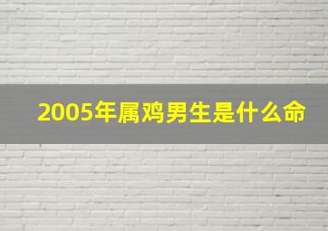 2005年属鸡男生是什么命