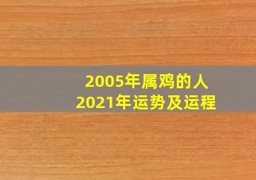 2005年属鸡的人2021年运势及运程