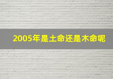 2005年是土命还是木命呢