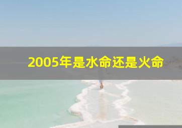 2005年是水命还是火命