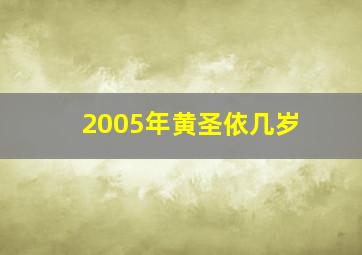 2005年黄圣依几岁