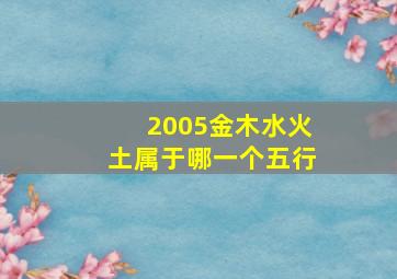 2005金木水火土属于哪一个五行