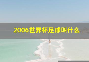 2006世界杯足球叫什么