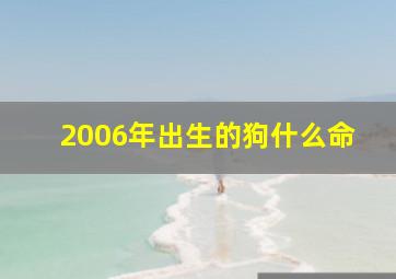 2006年出生的狗什么命