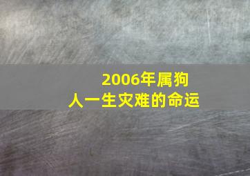 2006年属狗人一生灾难的命运