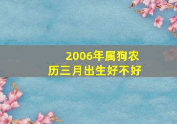 2006年属狗农历三月出生好不好