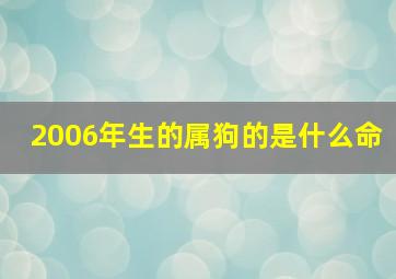 2006年生的属狗的是什么命