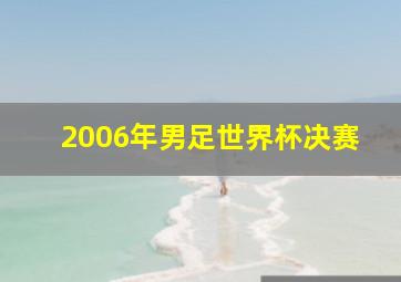 2006年男足世界杯决赛