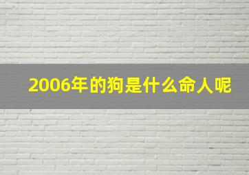 2006年的狗是什么命人呢