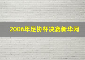 2006年足协杯决赛新华网