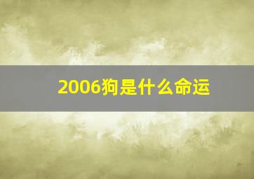 2006狗是什么命运