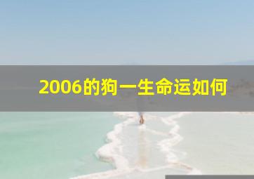 2006的狗一生命运如何