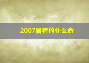 2007属猪的什么命