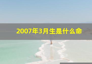 2007年3月生是什么命