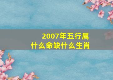 2007年五行属什么命缺什么生肖