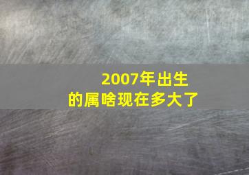 2007年出生的属啥现在多大了