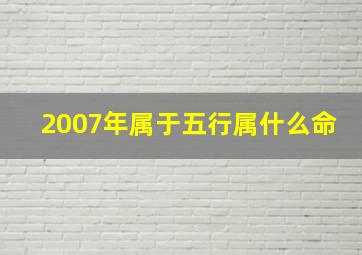 2007年属于五行属什么命