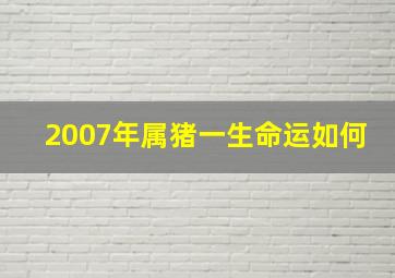 2007年属猪一生命运如何