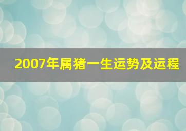 2007年属猪一生运势及运程