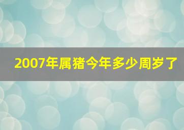 2007年属猪今年多少周岁了