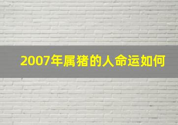 2007年属猪的人命运如何