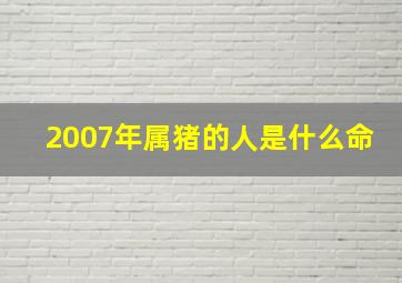 2007年属猪的人是什么命