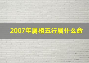 2007年属相五行属什么命