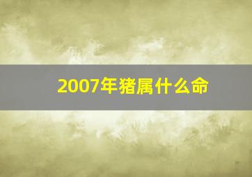 2007年猪属什么命