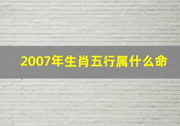 2007年生肖五行属什么命