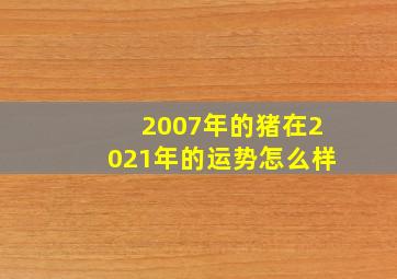 2007年的猪在2021年的运势怎么样