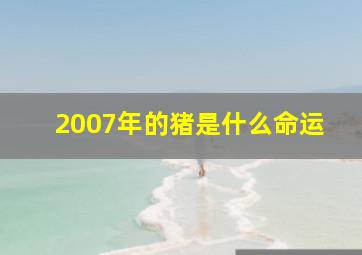 2007年的猪是什么命运