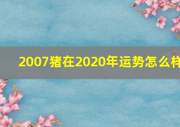 2007猪在2020年运势怎么样