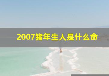 2007猪年生人是什么命