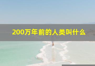 200万年前的人类叫什么