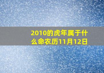 2010的虎年属于什么命农历11月12日