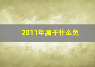 2011年属于什么兔