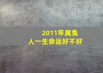 2011年属兔人一生命运好不好