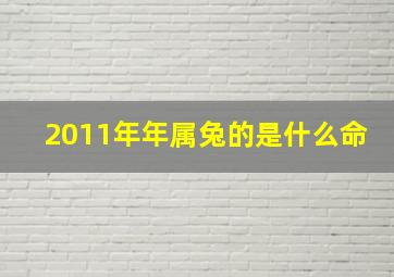 2011年年属兔的是什么命