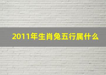 2011年生肖兔五行属什么