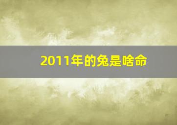 2011年的兔是啥命