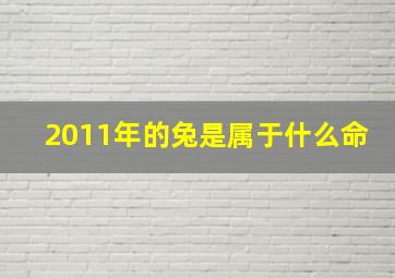 2011年的兔是属于什么命