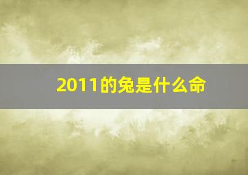 2011的兔是什么命