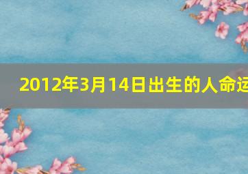 2012年3月14日出生的人命运