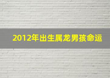 2012年出生属龙男孩命运