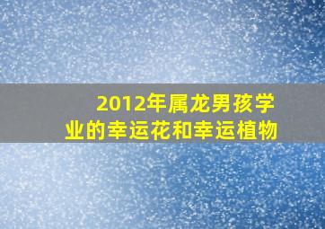 2012年属龙男孩学业的幸运花和幸运植物