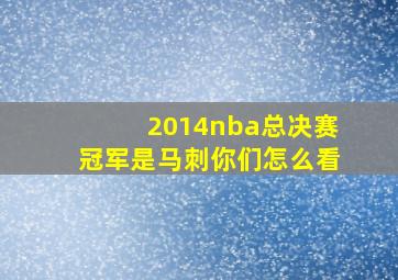 2014nba总决赛冠军是马刺你们怎么看