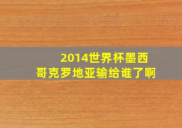 2014世界杯墨西哥克罗地亚输给谁了啊