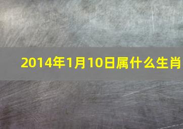 2014年1月10日属什么生肖