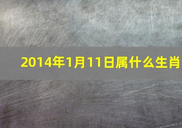 2014年1月11日属什么生肖